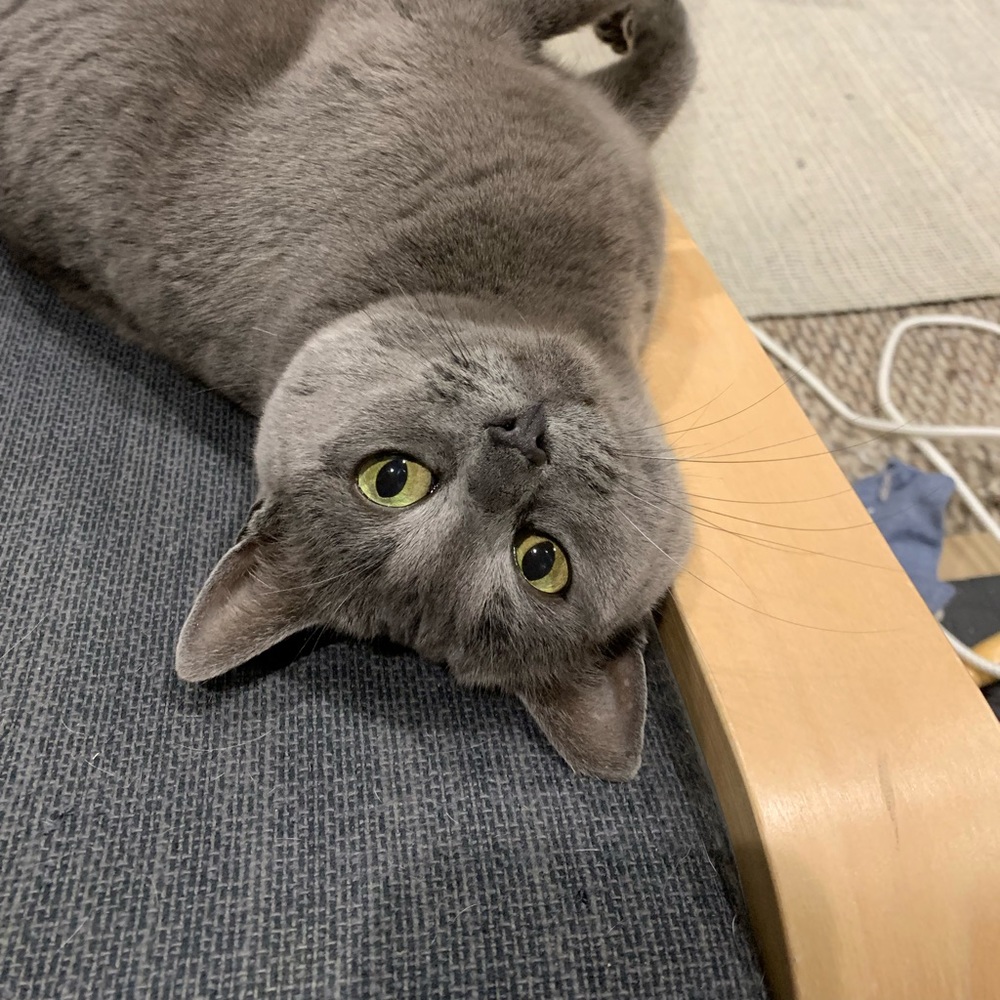 Meet your Posher, Alee